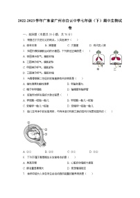 2022-2023学年广东省广州市白云中学七年级（下）期中生物试卷（含解析）