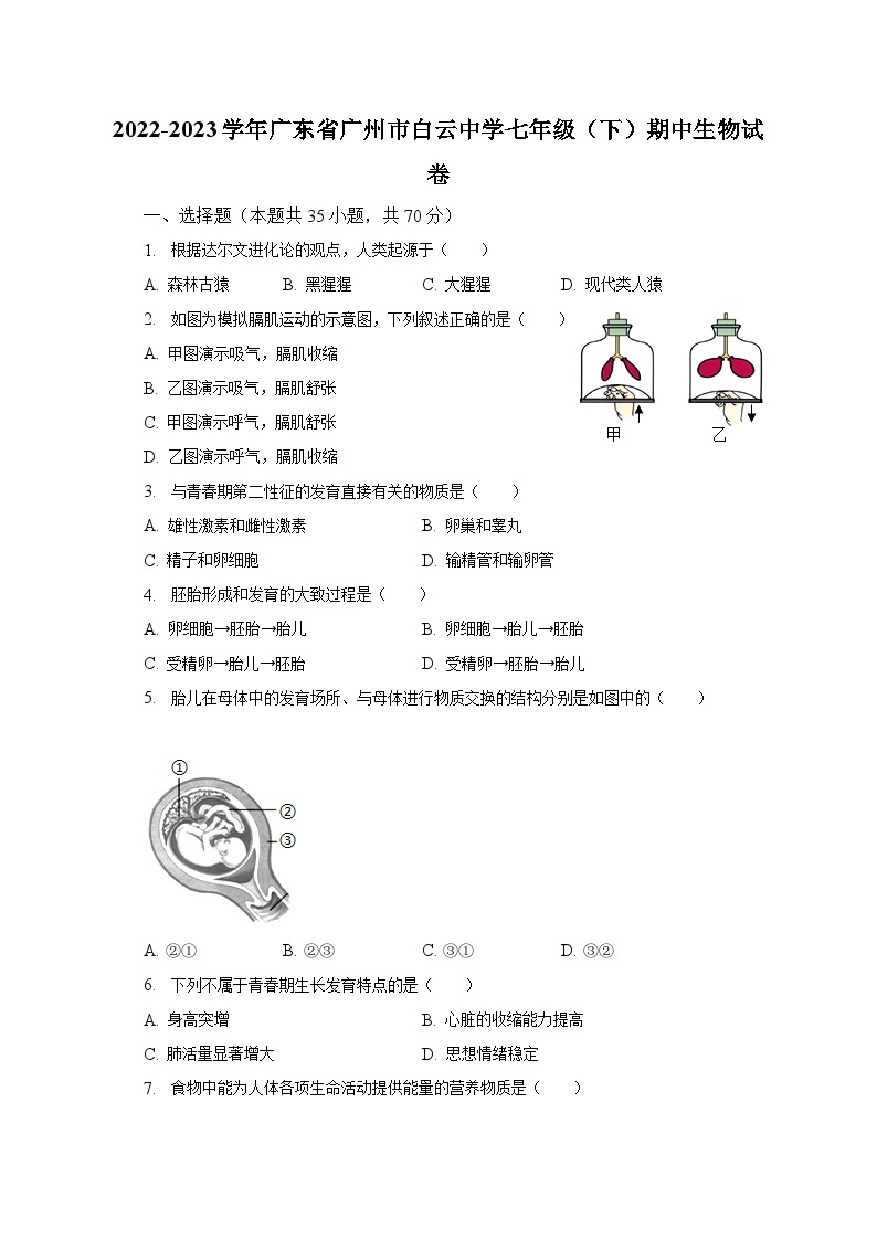 2022-2023学年广东省广州市白云中学七年级（下）期中生物试卷（含解析）01