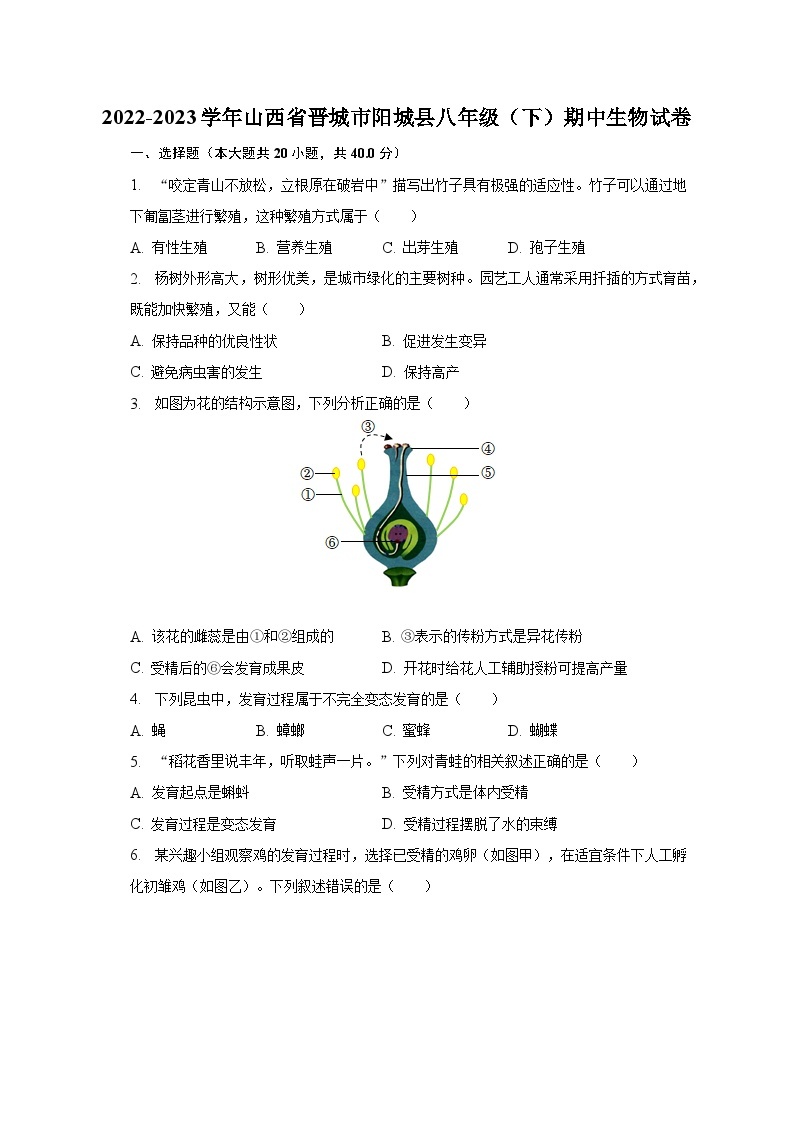 2022-2023学年山西省晋城市阳城县八年级（下）期中生物试卷（含解析）01