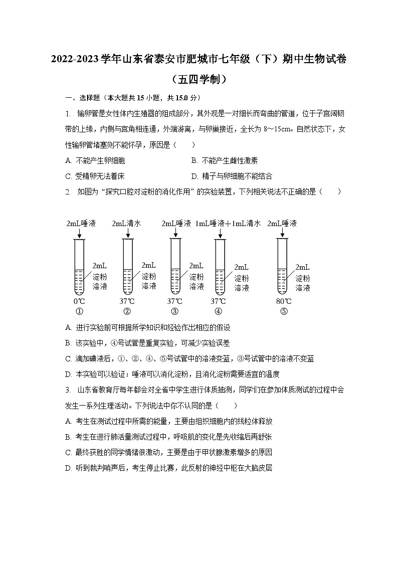 2022-2023学年山东省泰安市肥城市七年级(下)期中生物试卷(五四学制)(含解析)01