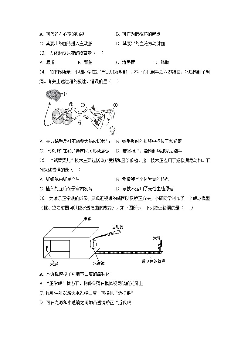 2023年北京市海淀區(qū)初二二?？荚嚿镌嚲恚ê馕觯┑?頁