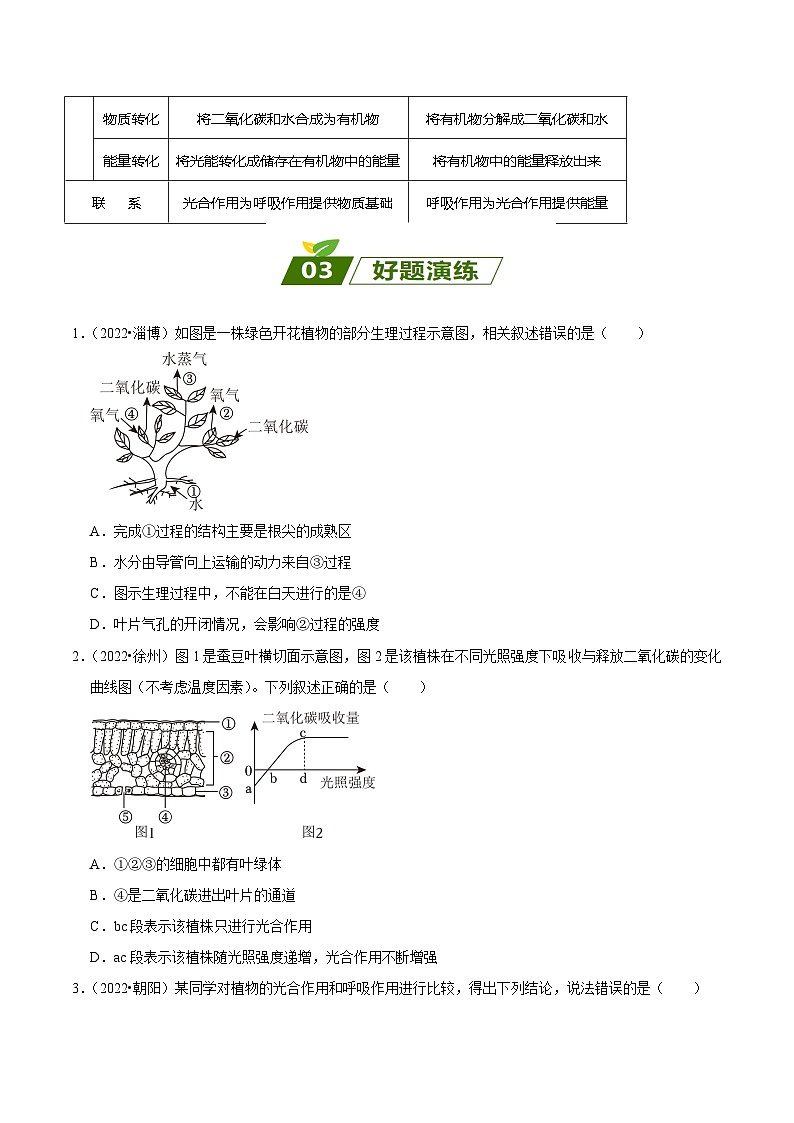 查补易混易错点04 绿色植物的蒸腾作用、光合作用和呼吸作用-【查漏补缺】2023年中考生物三轮冲刺过关 试卷03