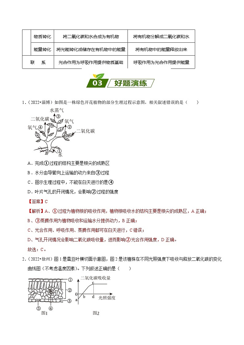 查补易混易错点04 绿色植物的蒸腾作用、光合作用和呼吸作用-【查漏补缺】2023年中考生物三轮冲刺过关 试卷03