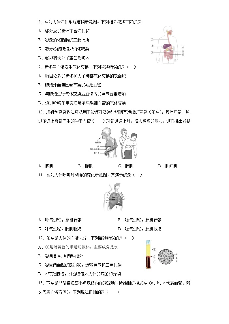 生物02卷（北京专用）——2022-2023学年七年级下学期期末模拟卷03