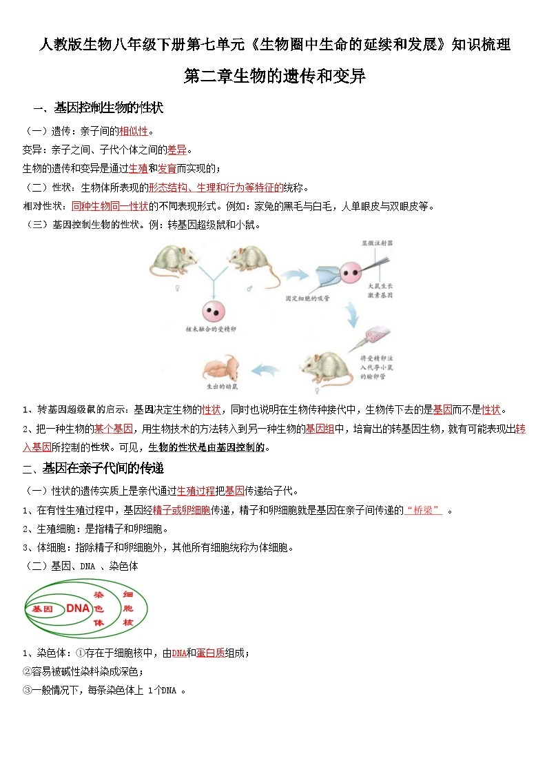 第二章 生物的遗传和变异——【期末复习】八年级生物章节知识点梳理（人教版八年级下册）01