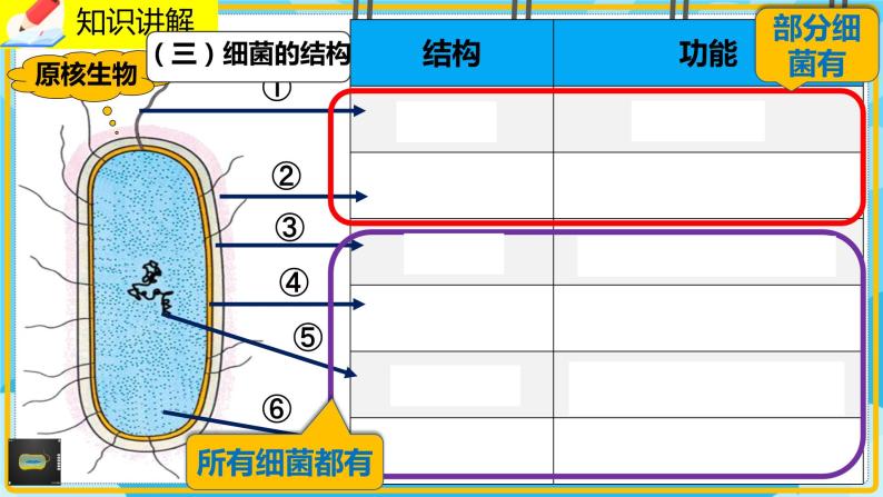 18.1.1《微生物在生物圈中的作用》课件05