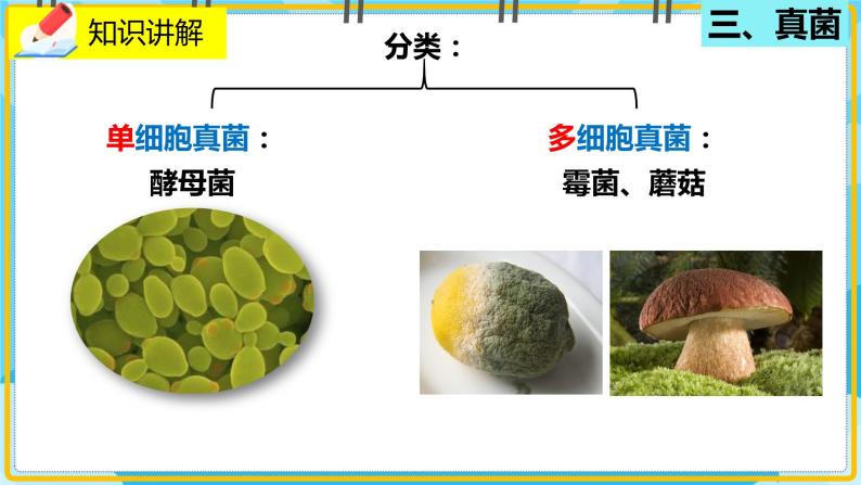 18.1.1《微生物在生物圈中的作用》课件08