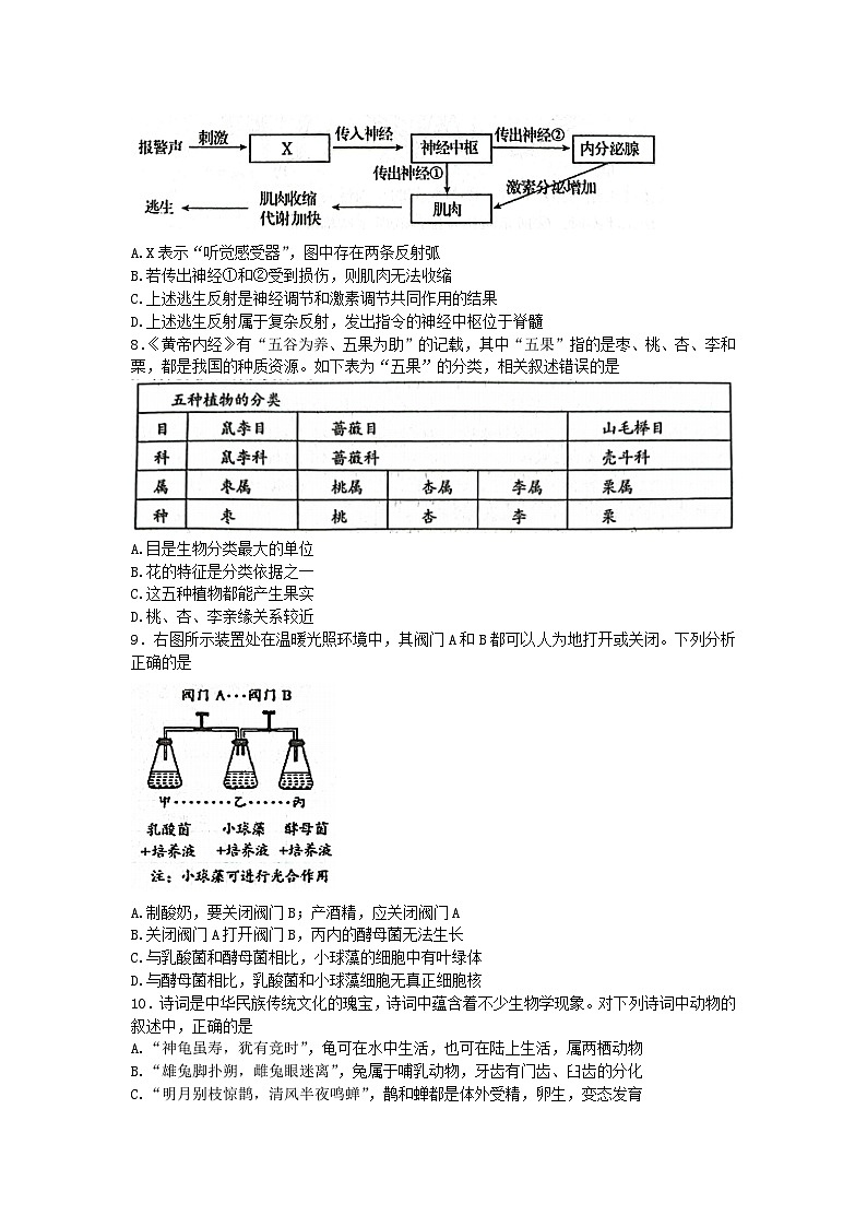 2023年山东省泰安市肥城市初中学业水平考试生物模拟试题(含答案)第3页