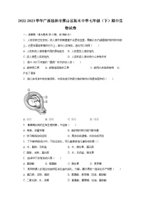 2022-2023学年广西桂林市雁山区柘木中学七年级（下）期中生物试卷（含解析）