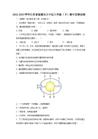 2022-2023学年江苏省盐城市大丰区八年级（下）期中生物试卷（含解析）