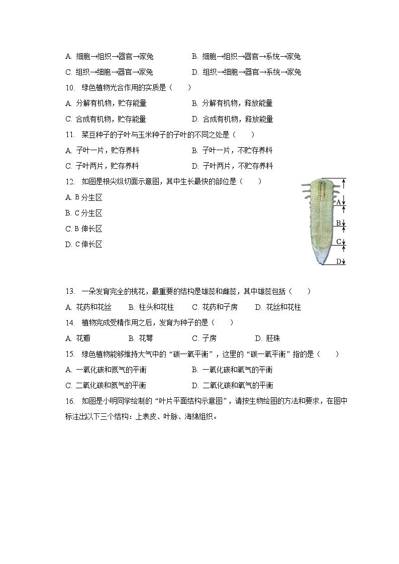 2022-2023学年广西贵港市港北六中七年级(上)期末生物试卷(含解析)第2页