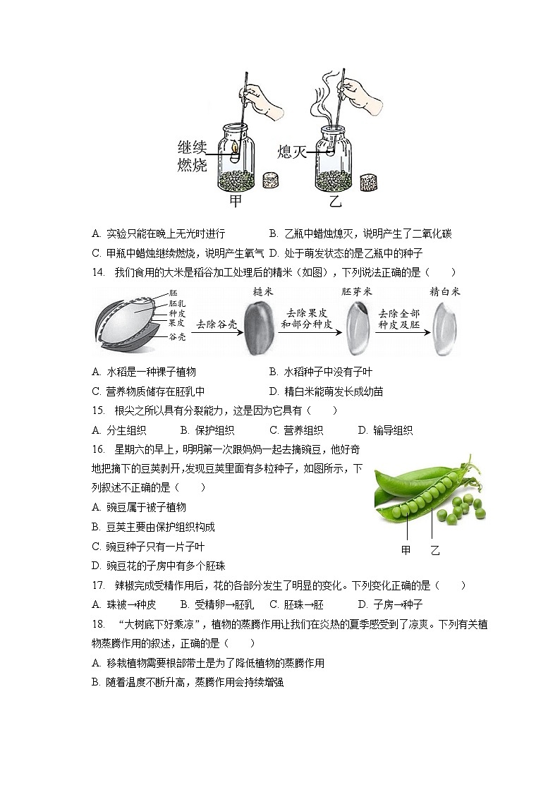 2022-2023学年河南省三门峡市陕州区七年级(上)期末生物试卷(含解析)03