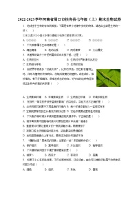 2022-2023学年河南省周口市扶沟县七年级（上）期末生物试卷（含解析）