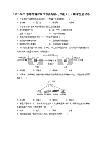 2022-2023学年河南省周口市西华县七年级（上）期末生物试卷（含解析）