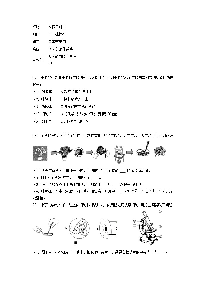 2022-2023学年黑龙江省齐齐哈尔市铁锋区七年级(上)期末生物试卷(含解析)第3页