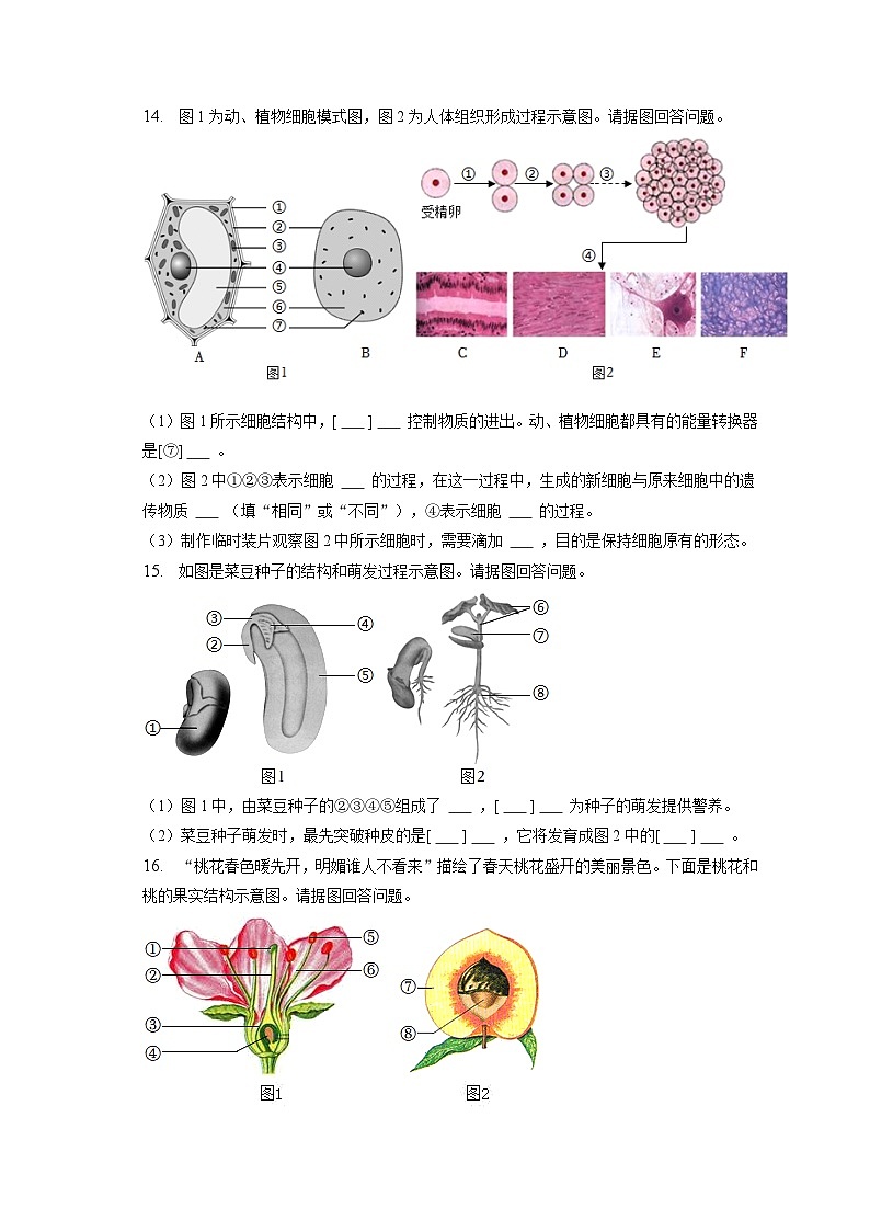 2022-2023学年辽宁省大连市金普新区七年级(上)期末生物试卷(含解析)03