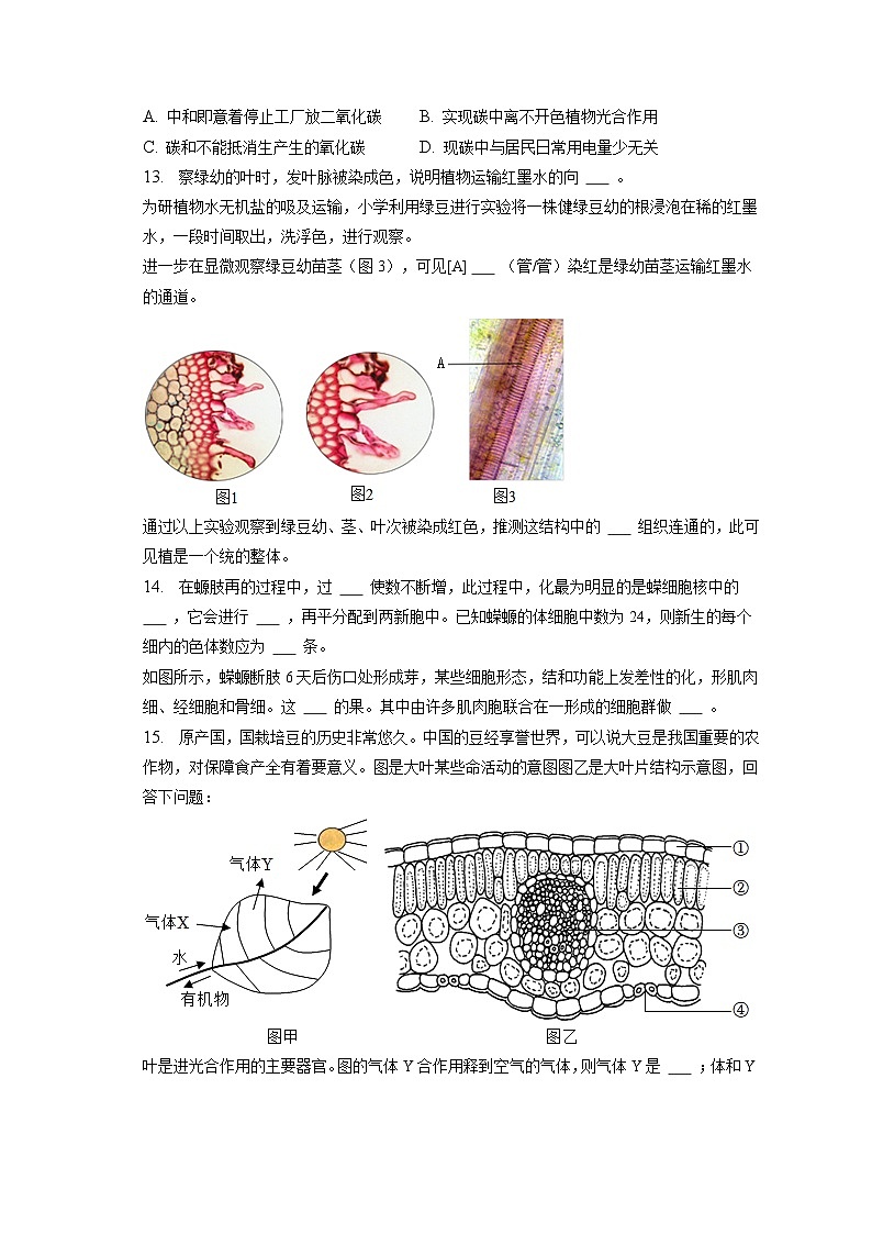 2022-2023学年辽宁省沈阳市沈河区七年级(上)期末生物试卷(含解析)02