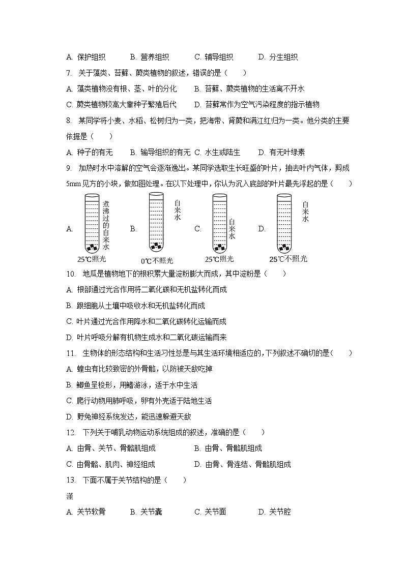 2022-2023学年山东省菏泽市鄄城县七年级(上)期末生物试卷(含解析)02