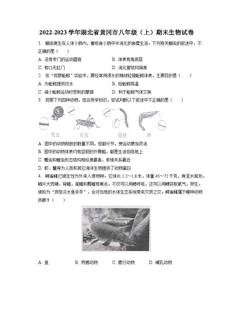 2022-2023学年湖北省黄冈市八年级(上)期末生物试卷(含解析)第1页