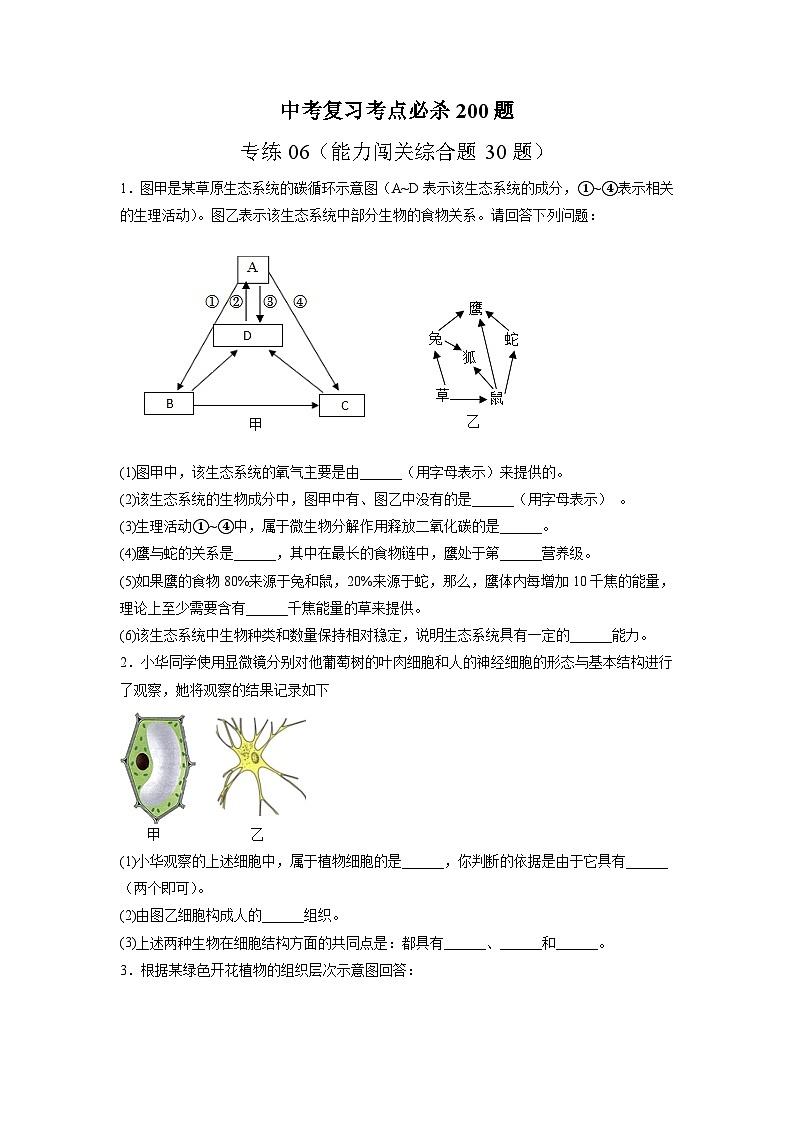 专练06(能力闯关综合题30题)-备战2023年中考生物考前必杀200题(山东专用)01