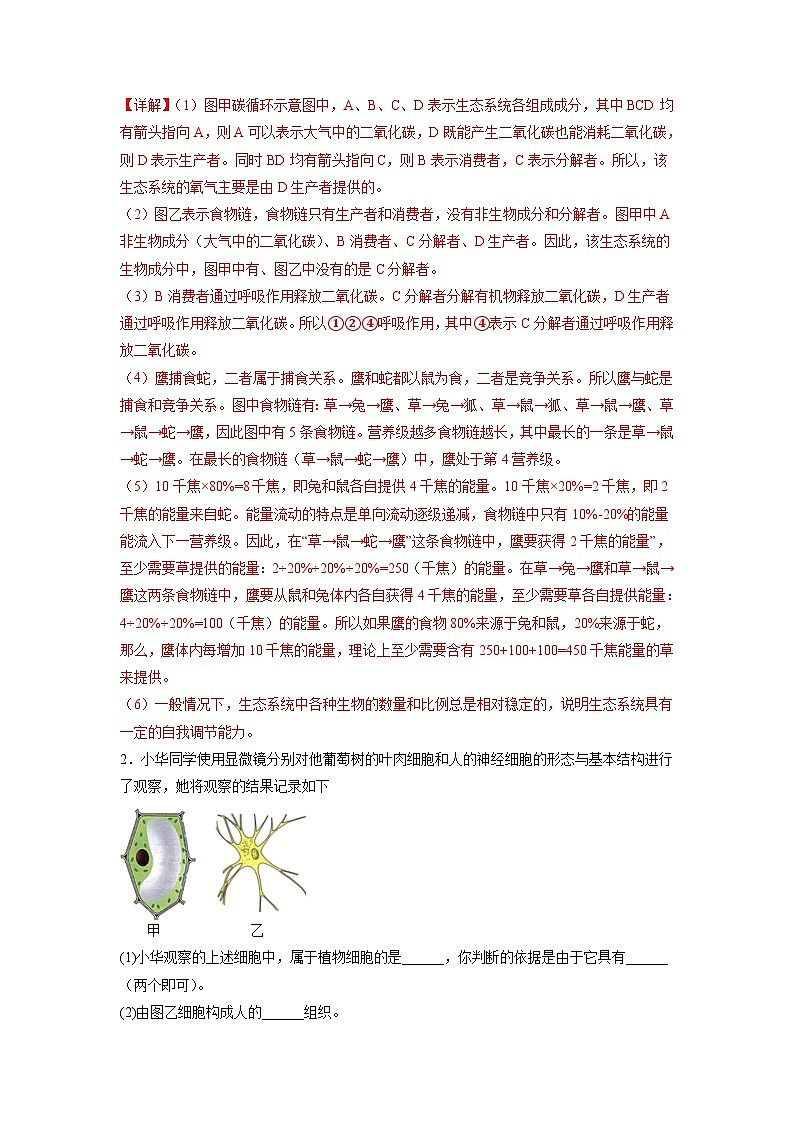 专练06(能力闯关综合题30题)-备战2023年中考生物考前必杀200题(山东专用)02