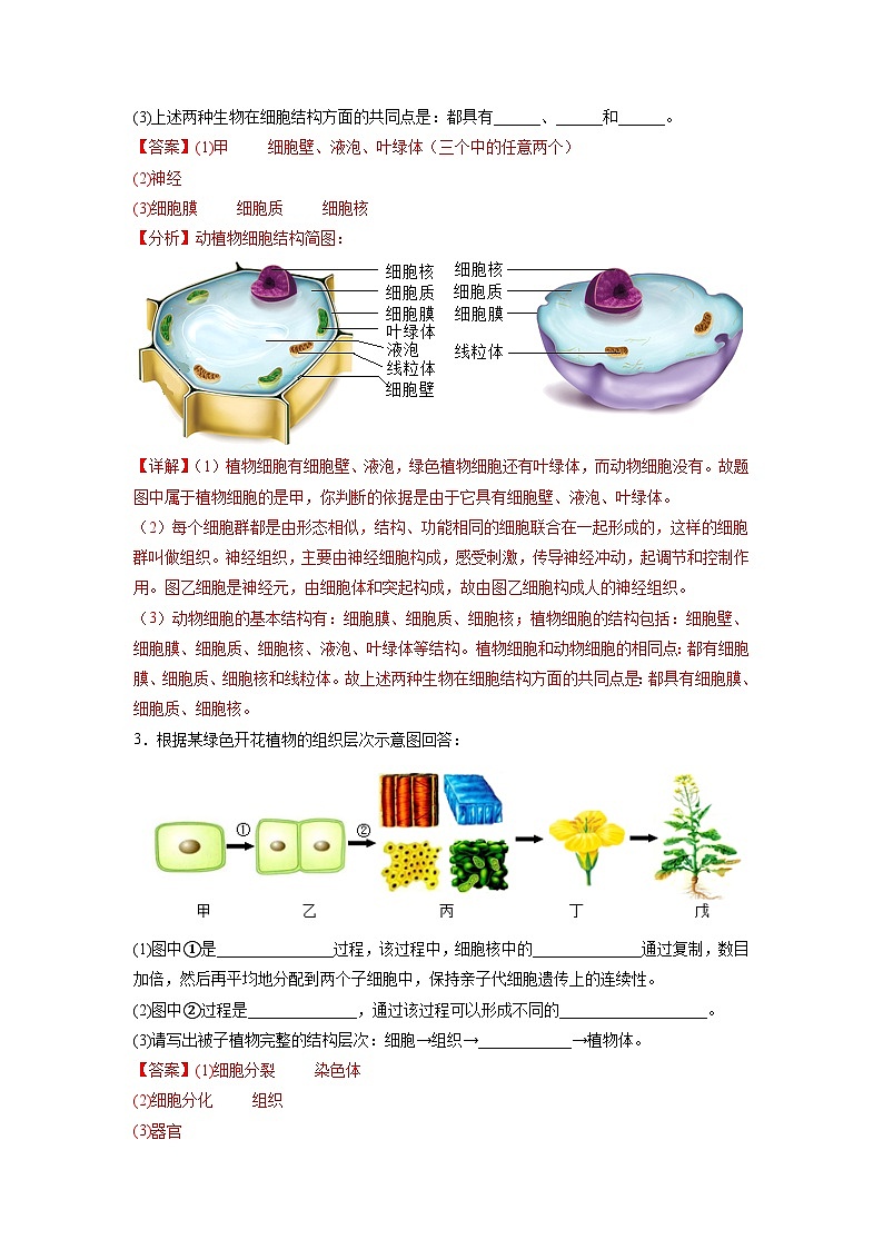 专练06(能力闯关综合题30题)-备战2023年中考生物考前必杀200题(山东专用)03