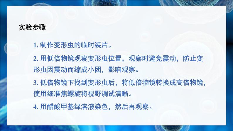 第2节 细胞是生命活动的单位第4页