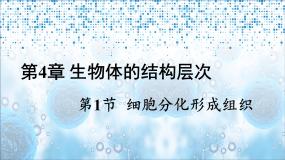 北师大版七年级上册第1节 细胞分化形成组织图片课件ppt