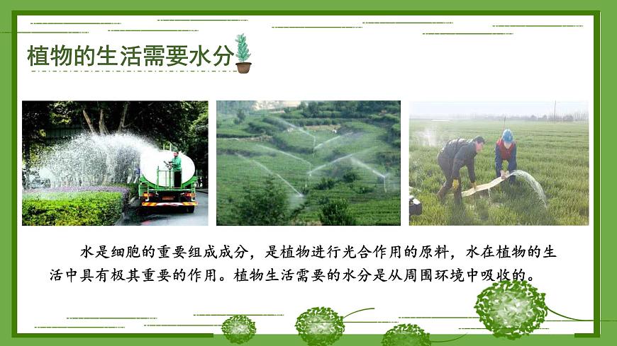 北師大版七年級(jí)生物上冊(cè)課件 5.3 吸收作用第2頁(yè)