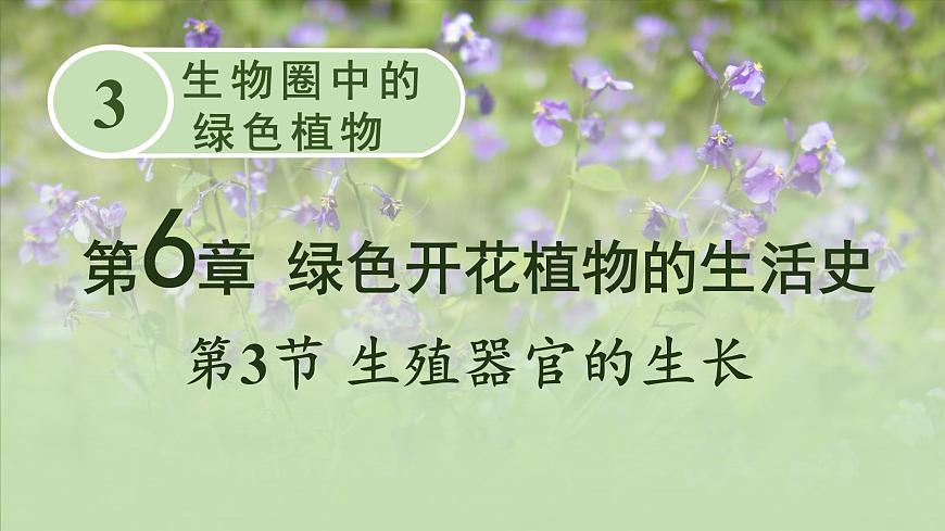 第3節(jié) 生殖器官的生長(zhǎng)第1頁(yè)