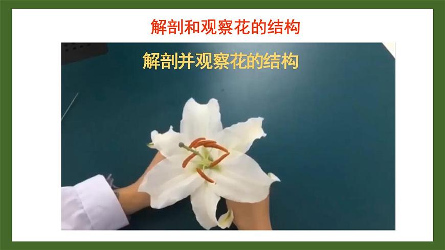 第3節(jié) 生殖器官的生長(zhǎng)第6頁(yè)