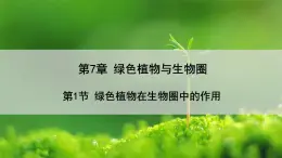 北师大版七年级生物上册课件 7.1 绿色植物在生物圈中的作用