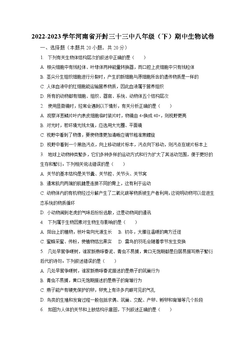 2022-2023学年河南省开封三十三中八年级（下）期中生物试卷（含解析）01