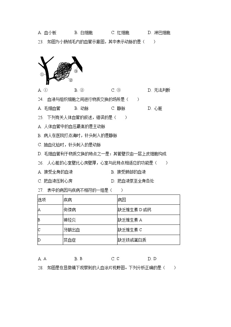 2022-2023学年安徽省六安市轻工中学七年级（下）期中生物试卷（含解析）03