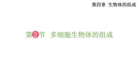 初中生物苏教版七年级上册第2单元 生物体的结构层次第4章 生物体的组成第二节 多细胞生物体的组成示范课ppt课件