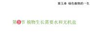 生物七年级上册第三节 植物生长需要水和无机盐图片课件ppt
