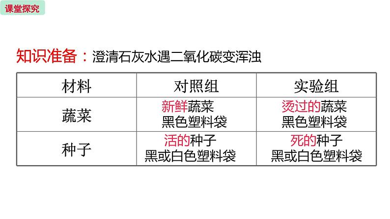 6.4 植物的呼吸作用 (课件)苏教版生物七年级上册06