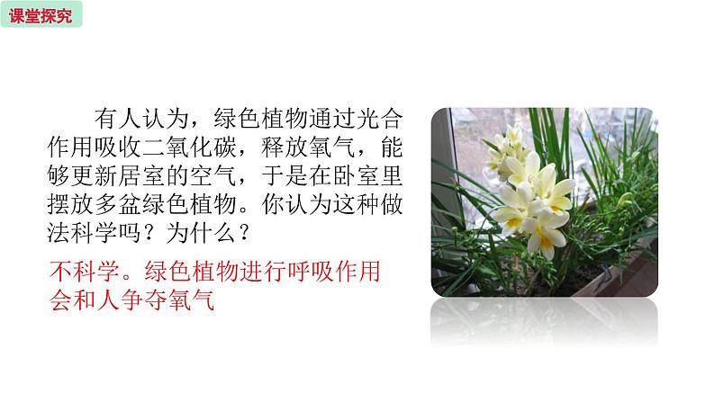 6.4 植物的呼吸作用 (课件)苏教版生物七年级上册08