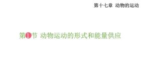 苏教版第一节 动物运动的形式和能量供应教学演示课件ppt