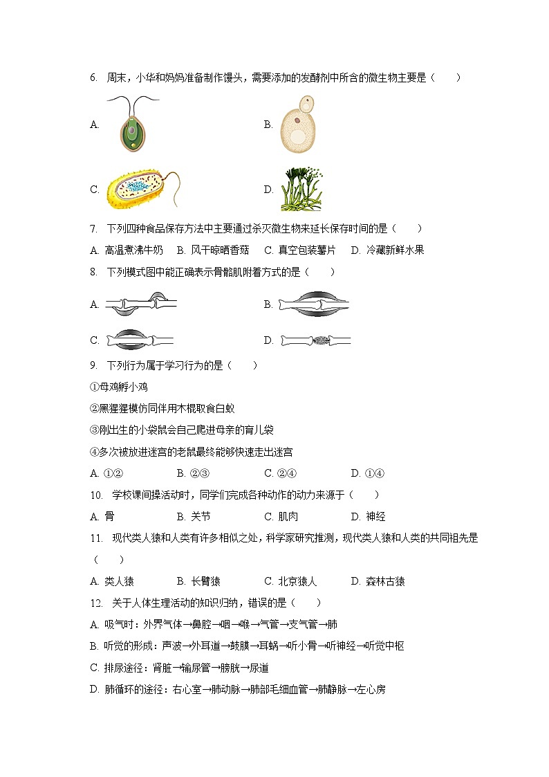 2023年北京市房山区中考生物二模试卷(含解析)02