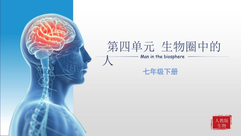 【期末复习课件】人教版七年级生物下学期第一章：人的由来（复习课件）01