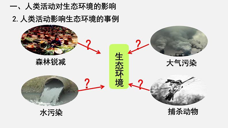 【期末复习课件】人教版七年级生物下学期第七章:人类活动对生物圈的影响(复习课件)06