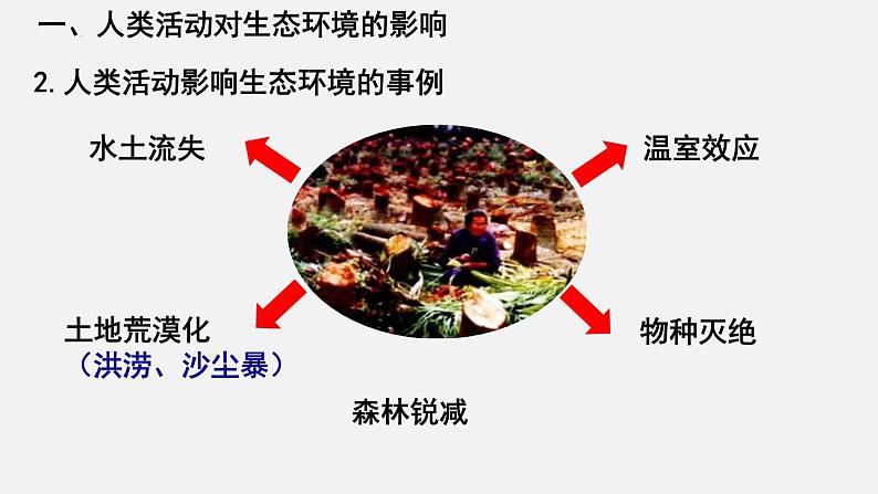 【期末复习课件】人教版七年级生物下学期第七章:人类活动对生物圈的影响(复习课件)07