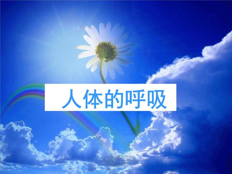 【期末复习课件】人教版七年级生物下学期第三章：人体的呼吸（复习课件）01