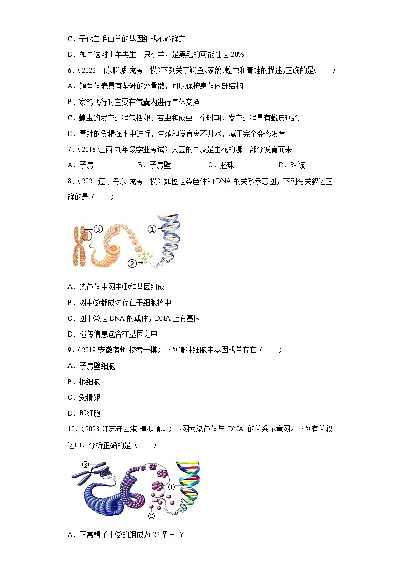 期中卷02-2022-2023学年八年级生物下学期期中期末复习知识梳理+冲刺卷(人教版)02