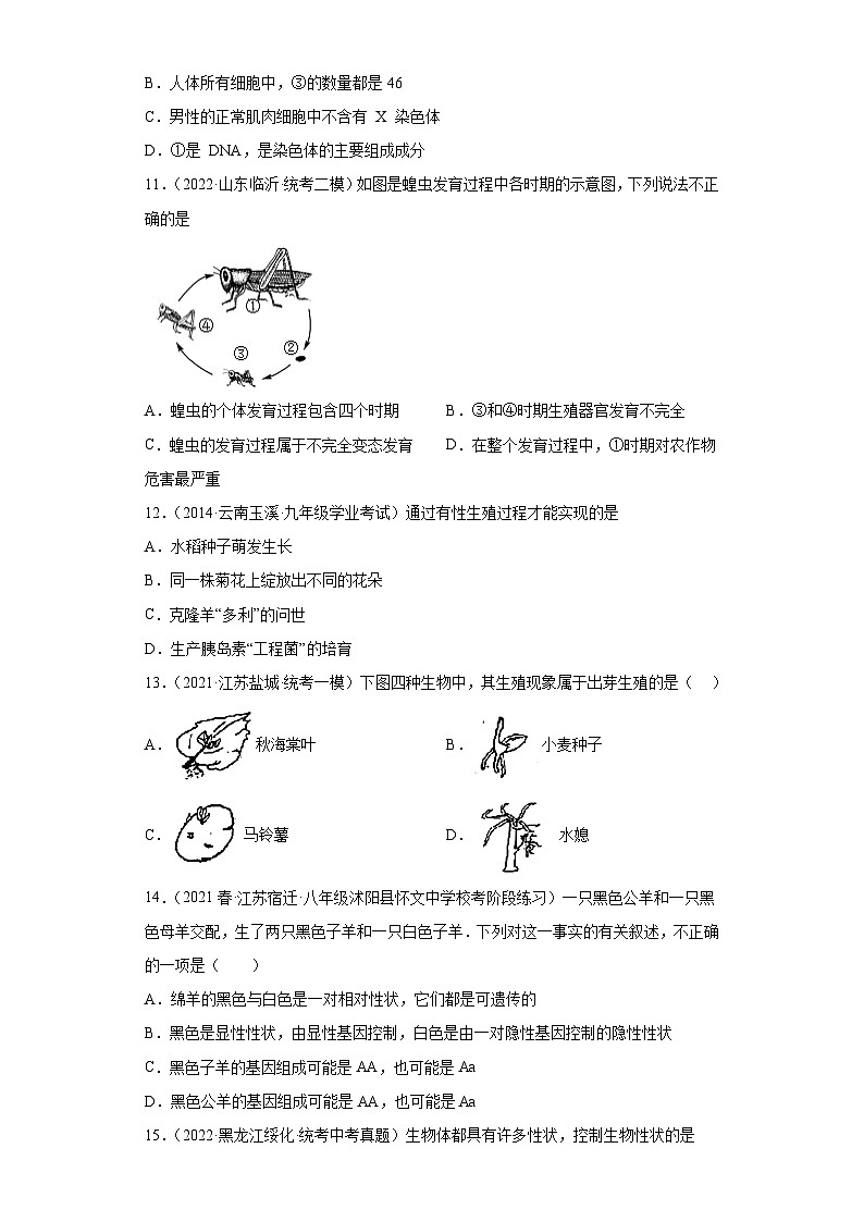 期中卷02-2022-2023学年八年级生物下学期期中期末复习知识梳理+冲刺卷(人教版)03