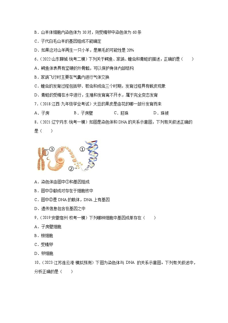 期中卷02-2022-2023学年八年级生物下学期期中期末复习知识梳理+冲刺卷(人教版)02