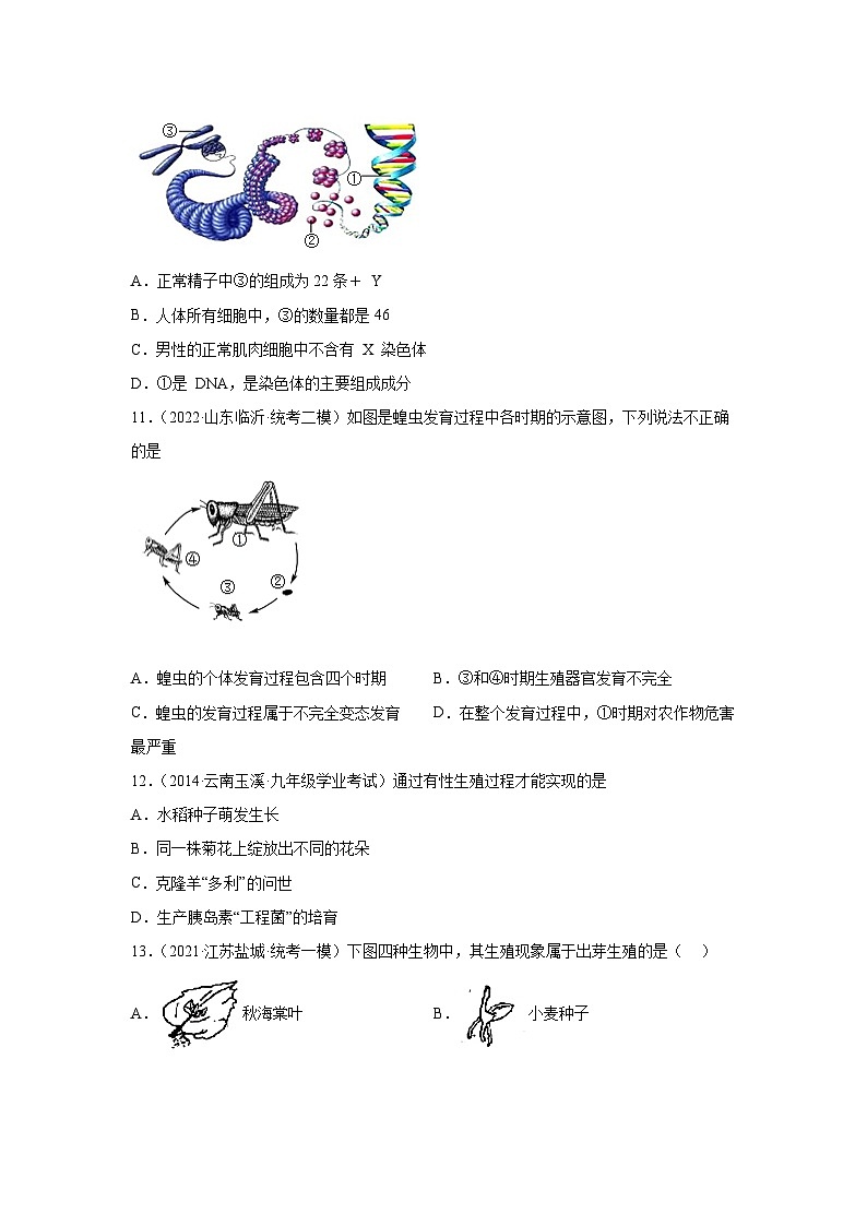 期中卷02-2022-2023学年八年级生物下学期期中期末复习知识梳理+冲刺卷(人教版)03