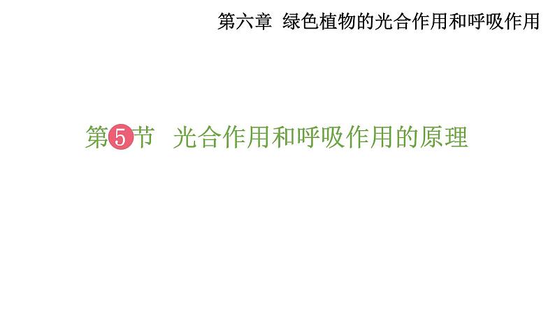 6.5 光合作用和呼吸作用的原理 (课件)苏教版生物七年级上册第1页