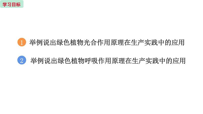 6.5 光合作用和呼吸作用的原理 (课件)苏教版生物七年级上册第2页